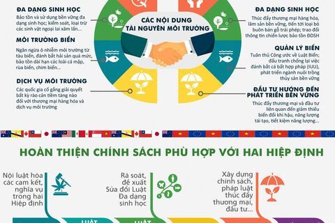 Bộ TN&MT đấy mạnh tuyên truyền, phổ biến về FTA